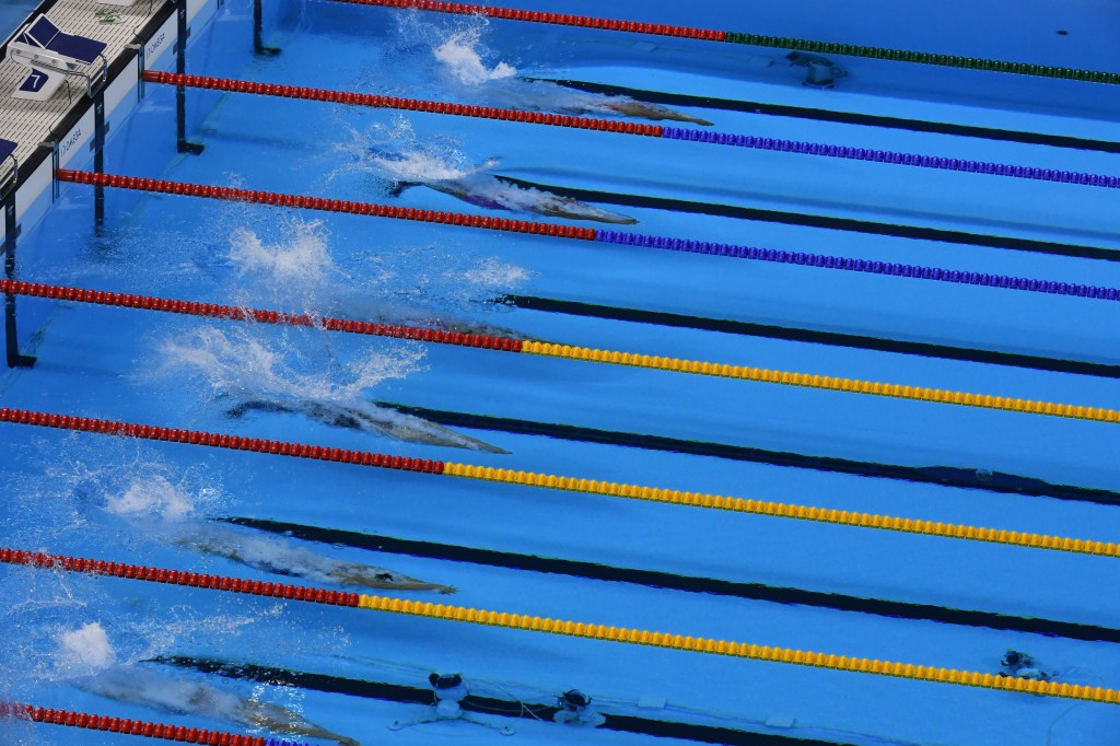 A school of swimmers.